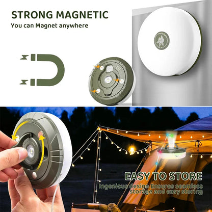 Portable Festive Light